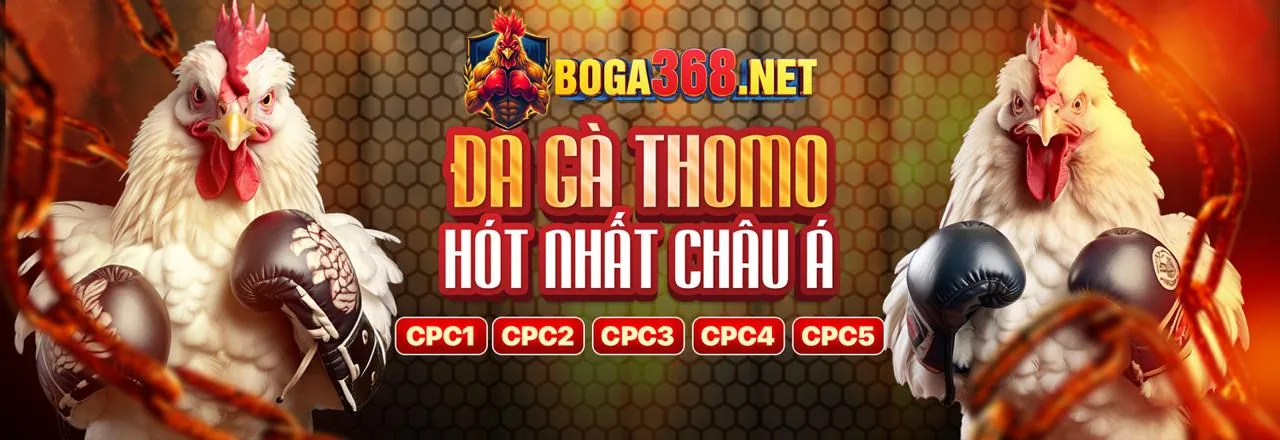 Trò chơi đá gà tiphu88